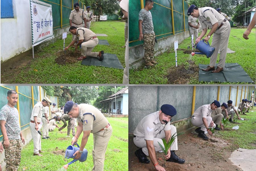 119 bn organized  tree plantation